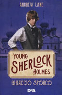 Copertina  Young Sherlock Holmes : Ghiaccio sporco