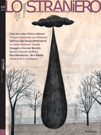 Copertina  Disuguaglianza e istituzioni in America Latina